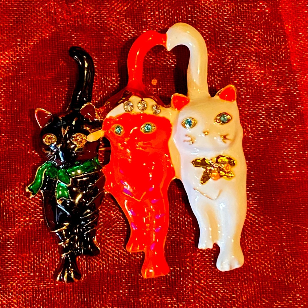 Very cute Christmas cat 🐈 pin